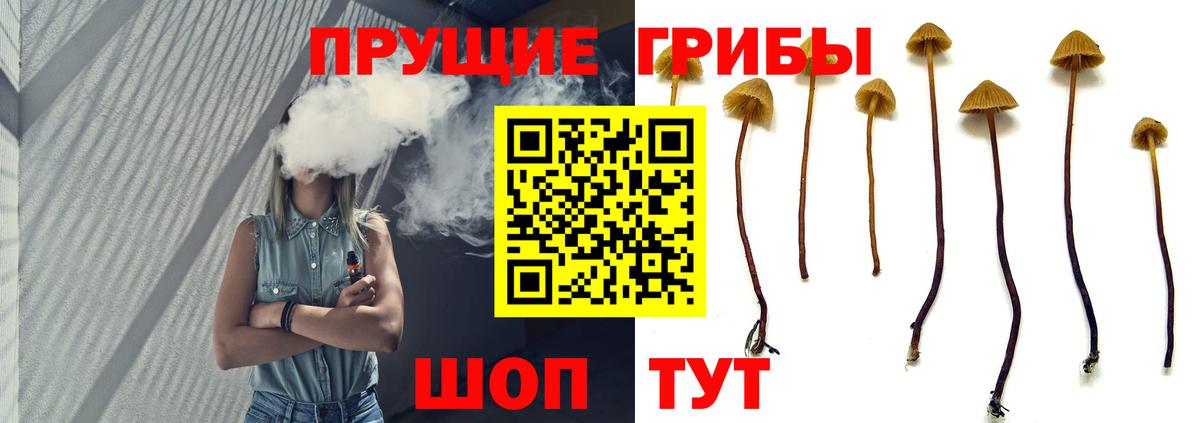 Долгопрудный  Галлюциногенные грибы Magic Shrooms  Вход с VPN 